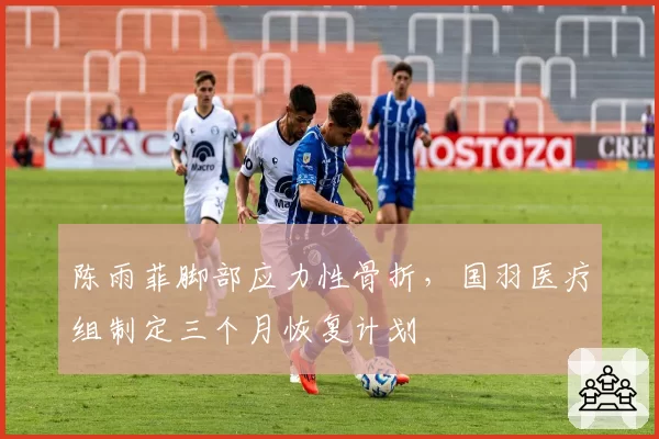 陈雨菲脚部应力性骨折,国羽医疗组制定三个月恢复计划