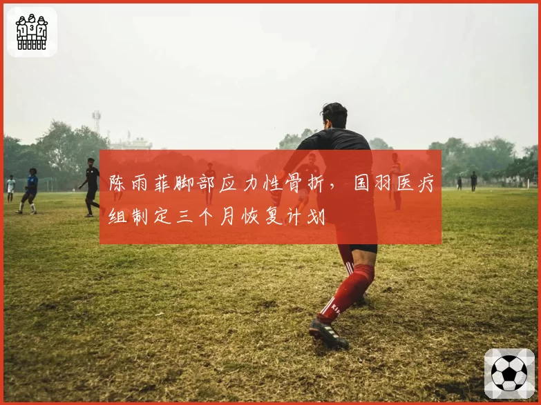 陈雨菲脚部应力性骨折，国羽医疗组制定三个月恢复计划